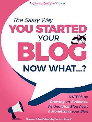 You Started a Blog - Now What....?: 6 Steps to Growing an Audience, Writing Viral Blog Posts & Monetizing your Blog (Beginner Internet Marketing Series Book 2) (English Edition)